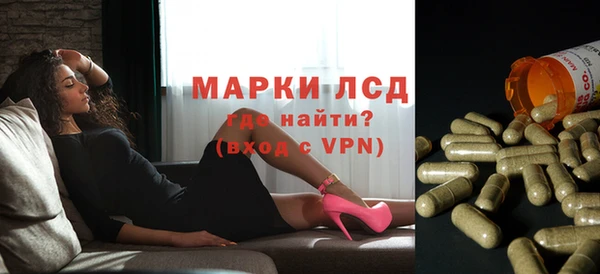 spice Липки