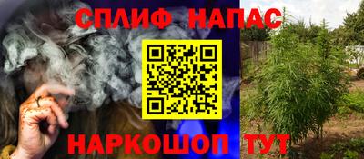 PSILOCYBIN Кинель