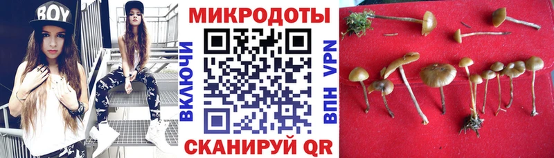 Псилоцибиновые грибы GOLDEN TEACHER Приморско-Ахтарск