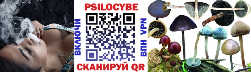 Галлюциногенные грибы мицелий  Приморско-Ахтарск 