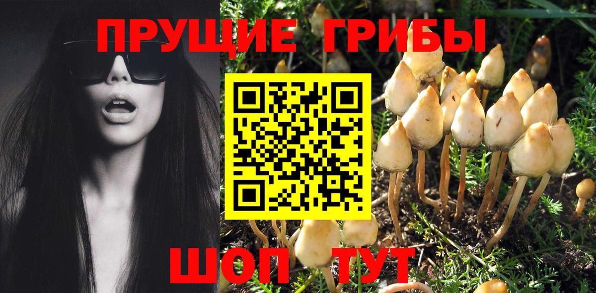 закладка  Галлюциногенные грибы Magic Shrooms  Приморско-Ахтарск  Галлюциногенные грибы прущие грибы 