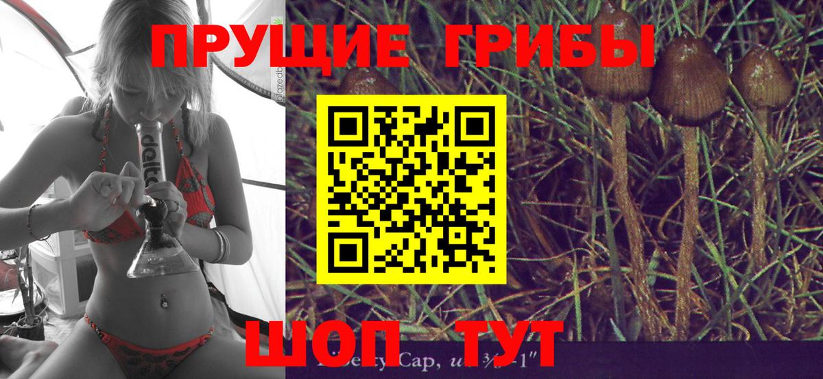 Псилоцибиновые грибы MAGIC MUSHROOMS Приморско-Ахтарск