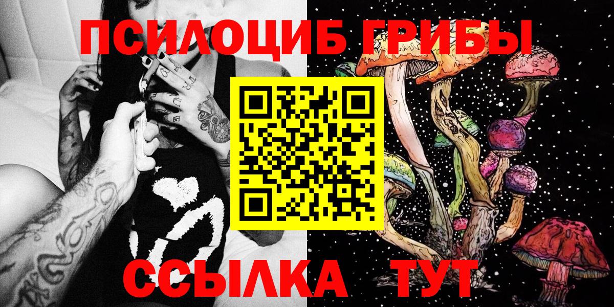 наркотики  Галлюциногенные грибы Psilocybe  Вход с VPN  Псилоцибиновые грибы мицелий  Приморско-Ахтарск 