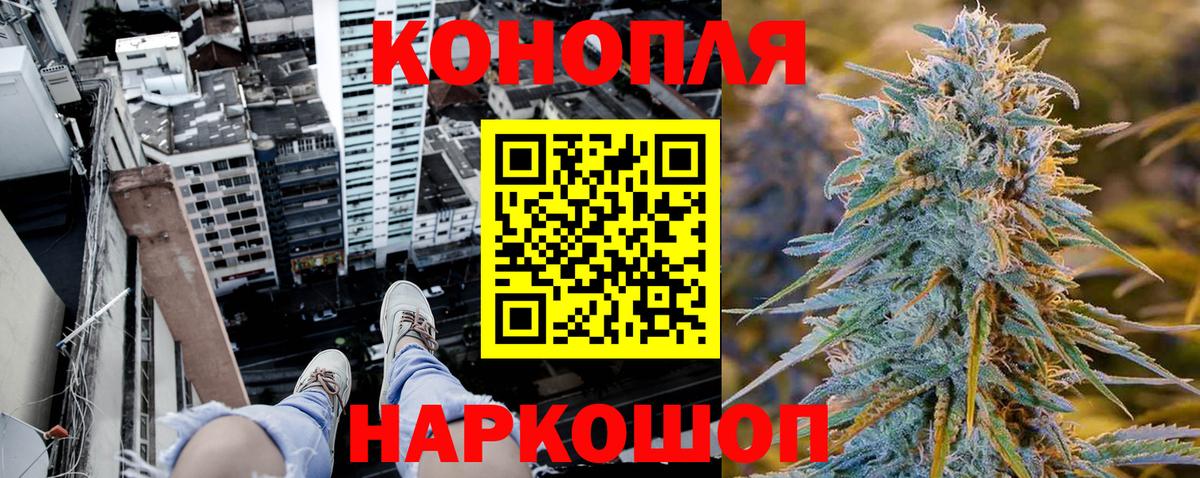 Канабис OG Kush Приморско-Ахтарск